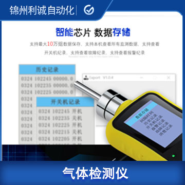 復(fù)合式可燃?xì)怏w檢測(cè)儀