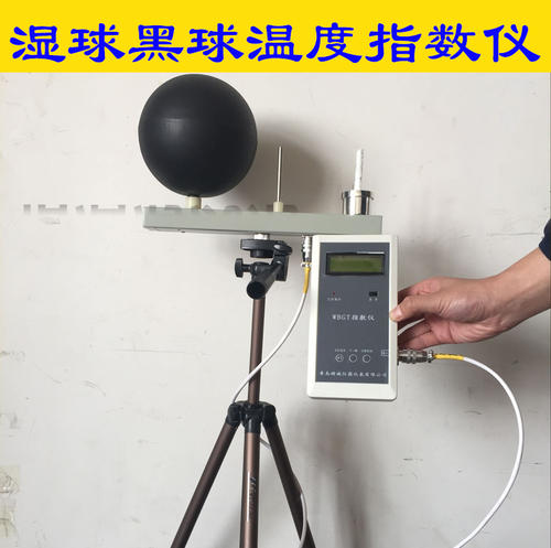 便攜式直讀黑球溫度測定儀廠家直銷價